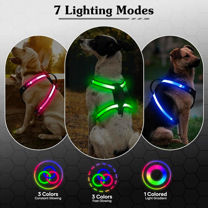 Rechargeable LED Dog Harness – Multi-Color Light up Glow Dark Vest with Reflective Strips, Waterproof Adjustable Soft Mesh Safety Harness for Small Medium Large Dogs Night Walking-Extra Large
