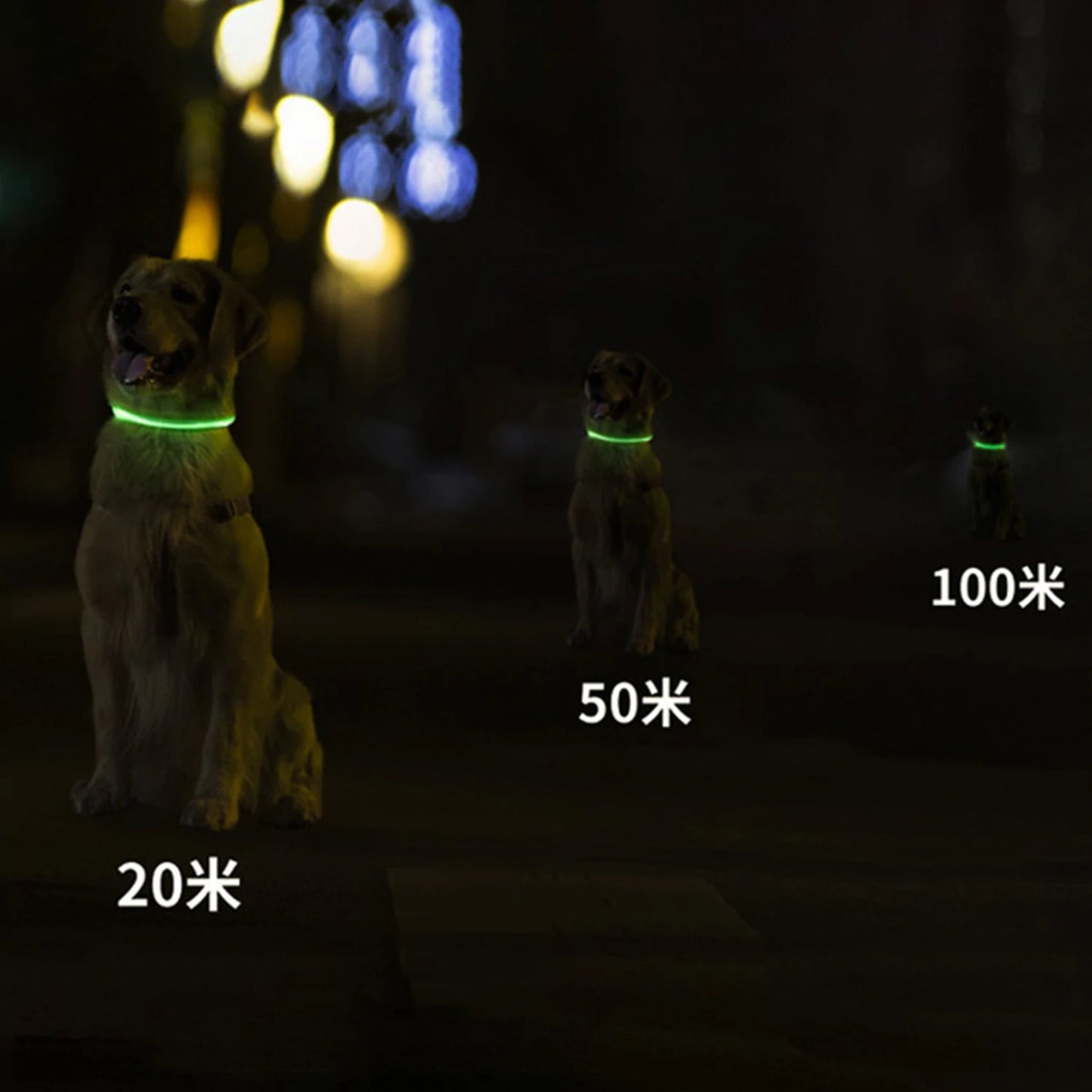 Pet Dog LED Luminous Dog Collar Usb Rechargeable 35Cm Anti-Lost Dog Collar Luminous Safety Cat and Dog Collar Pet Accessories