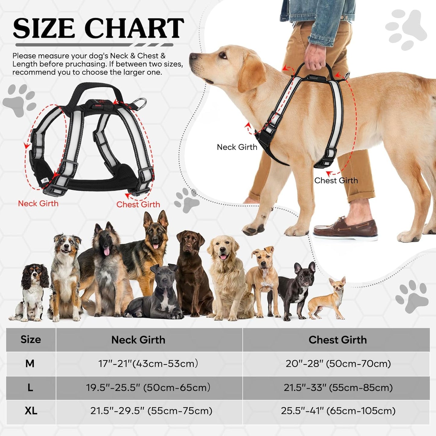 Rechargeable LED Dog Harness – Multi-Color Light up Glow Dark Vest with Reflective Strips, Waterproof Adjustable Soft Mesh Safety Harness for Small Medium Large Dogs Night Walking-Extra Large