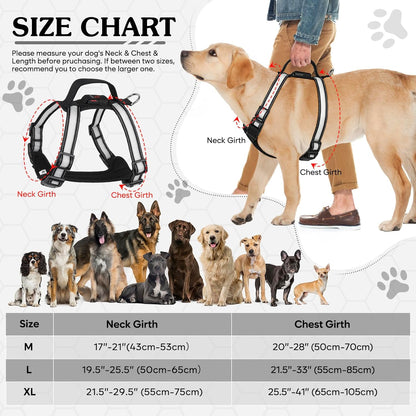 Rechargeable LED Dog Harness – Multi-Color Light up Glow Dark Vest with Reflective Strips, Waterproof Adjustable Soft Mesh Safety Harness for Small Medium Large Dogs Night Walking-Extra Large