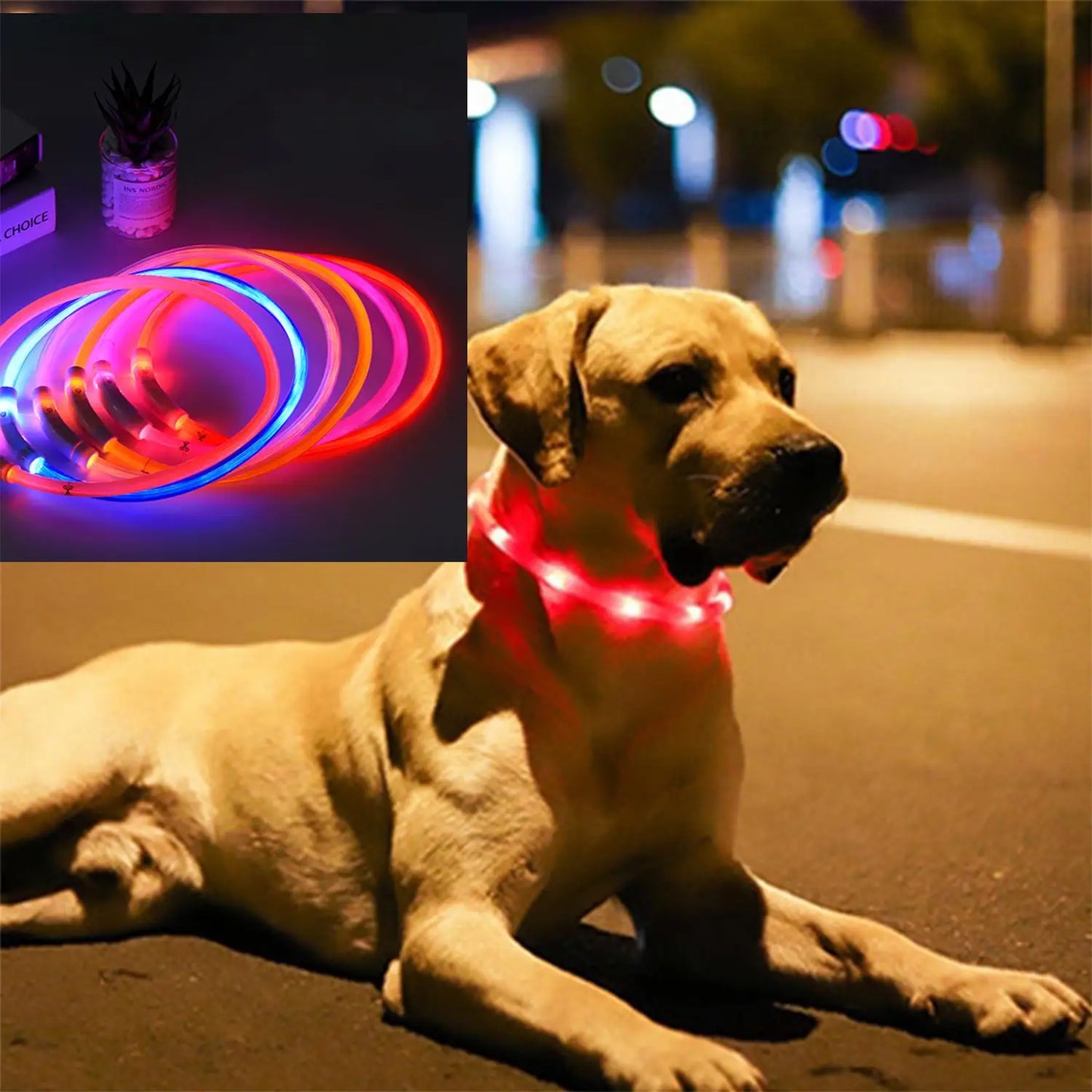 Pet Dog LED Luminous Dog Collar Usb Rechargeable 35Cm Anti-Lost Dog Collar Luminous Safety Cat and Dog Collar Pet Accessories