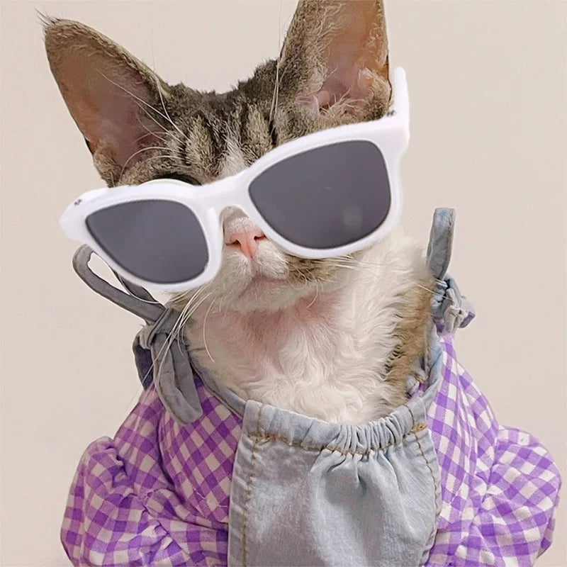 Pet Glasses Pet Sunglasses Cool Photos Dog and Cat Glasses Pet Supplies Plastic Cute Pet Glasses Cat and Dog Accessories Cat Hat