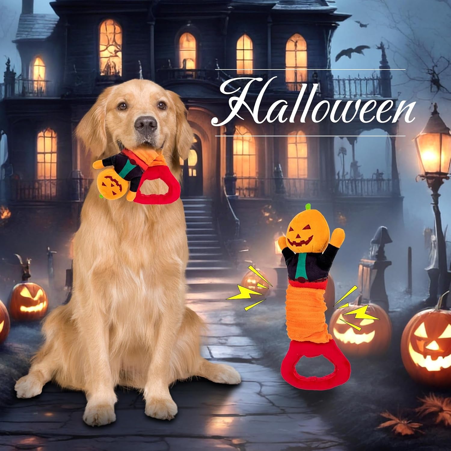 Plush Squeaky Toys - Dinosaur, Cotton Rope & Teething Chew Toys for Small to Large Dogs (Halloween Pumpkin)