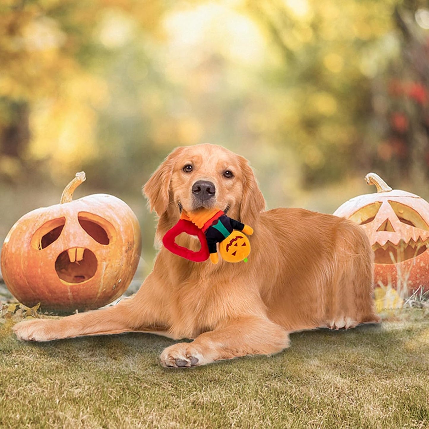 Plush Squeaky Toys - Dinosaur, Cotton Rope & Teething Chew Toys for Small to Large Dogs (Halloween Pumpkin)