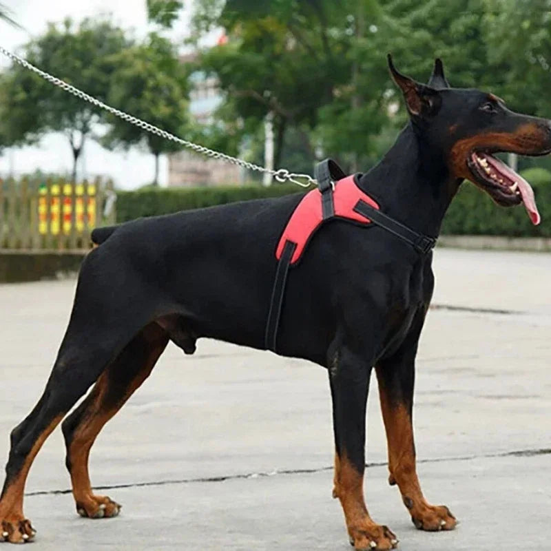 Pet Dogs Adjustable Harness Small and Large Dog Harness Vest, Strong Dog Leash Pet Leashes Reflective Leash Drag Pull Tow