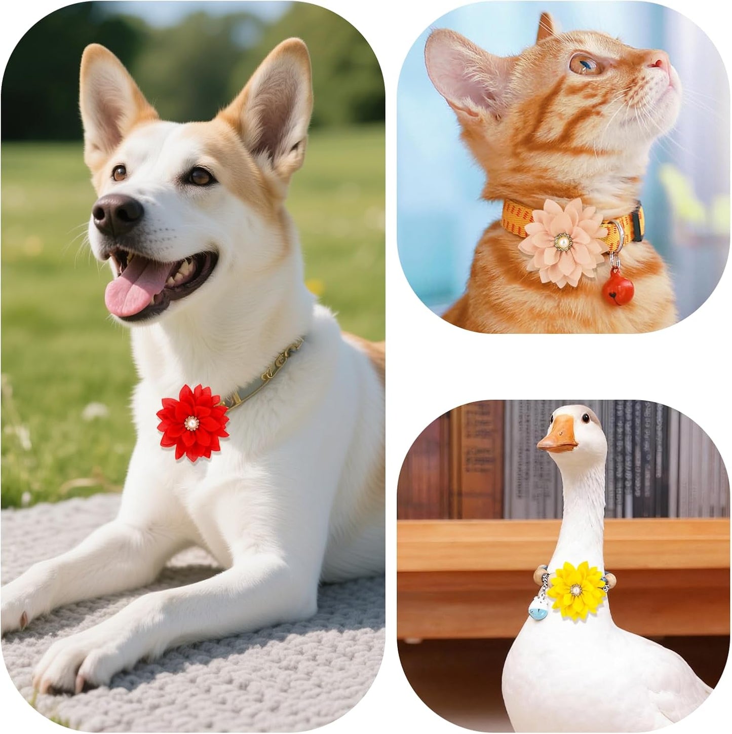 20 Pcs Dog Flower Collar Accessory, Multi-Colour Pet Collar Flower with Pearl Soft Chiffon Dog Bow Tie for Cat Puppy Grooming Decorations (20 Colours)